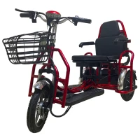 Электротрицикл Elbike Адъютант Double Twix A4 (2x350W 48V 20Ah) Trike