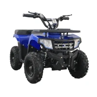 Электровадроцикл GreenCamel Гоби K24 (36V 800W R6 Цепь) Синий